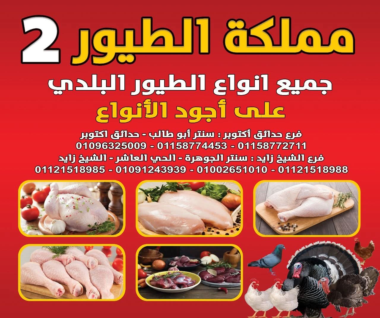 🐔 مملكة الطيور… الطعم الأجود والجودة المضمونة