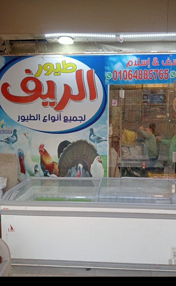 جميع انواع الطيور. فيليه. شيش. بط . حمام مع طيور الؤيف